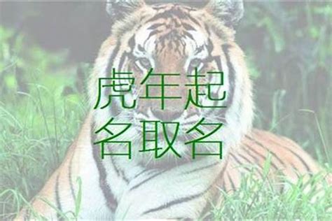 12劃的字屬虎|屬虎起名宜忌，屬虎取名禁忌，屬虎人取名字庫